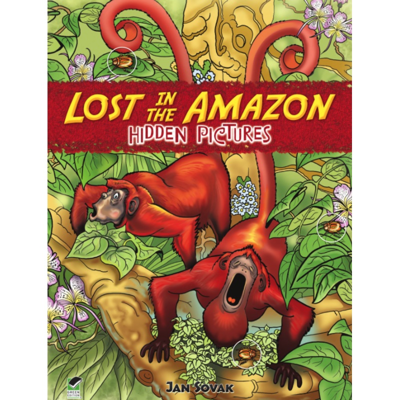 Lost In The Amazon: Hidden Pictures