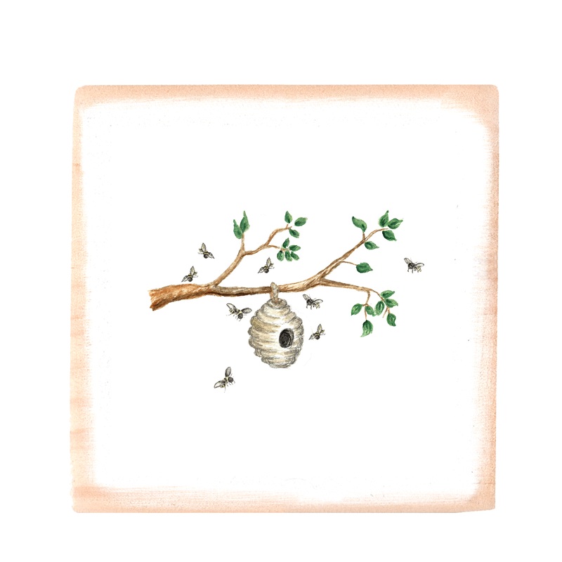 hive on branch with bees square wood block