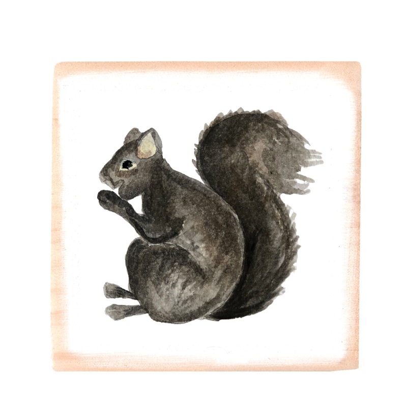 black squirrel square wood block