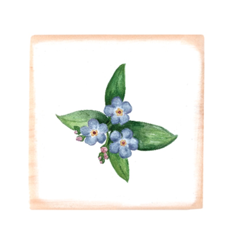 forget me nots square wood block