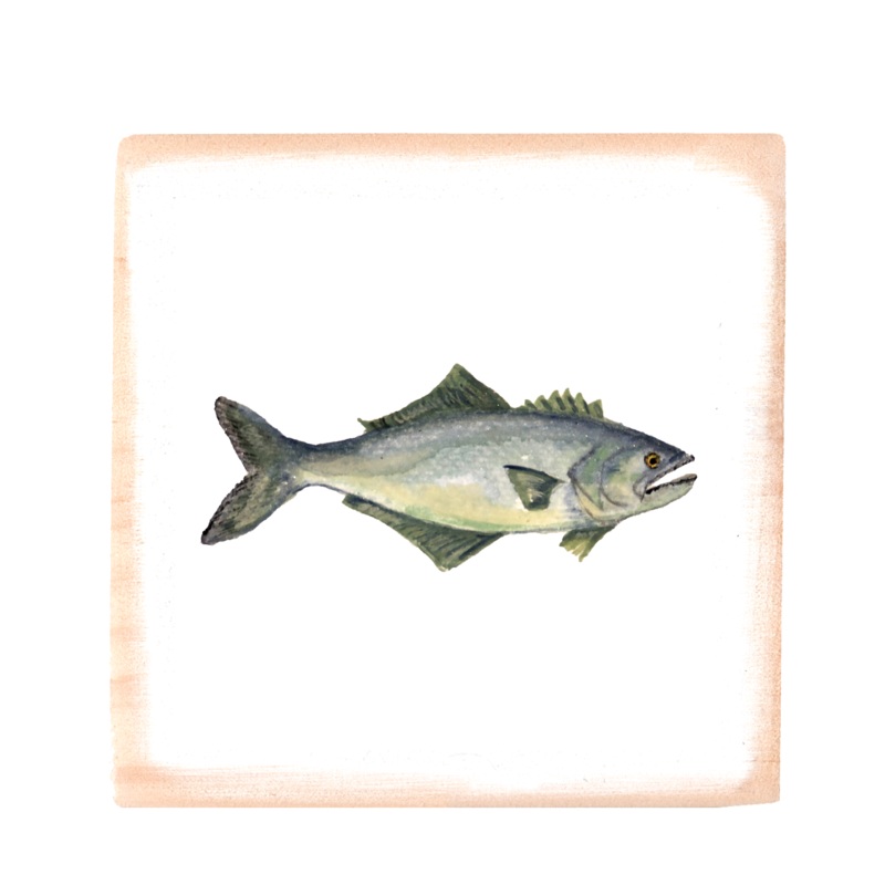 blue fish square wood block