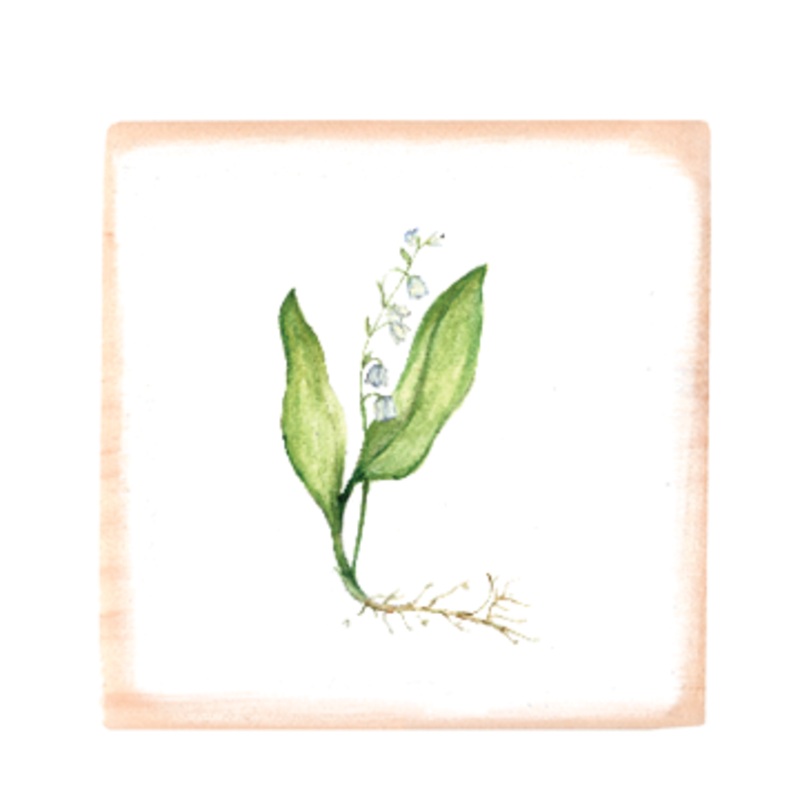 lily of the valley square wood block