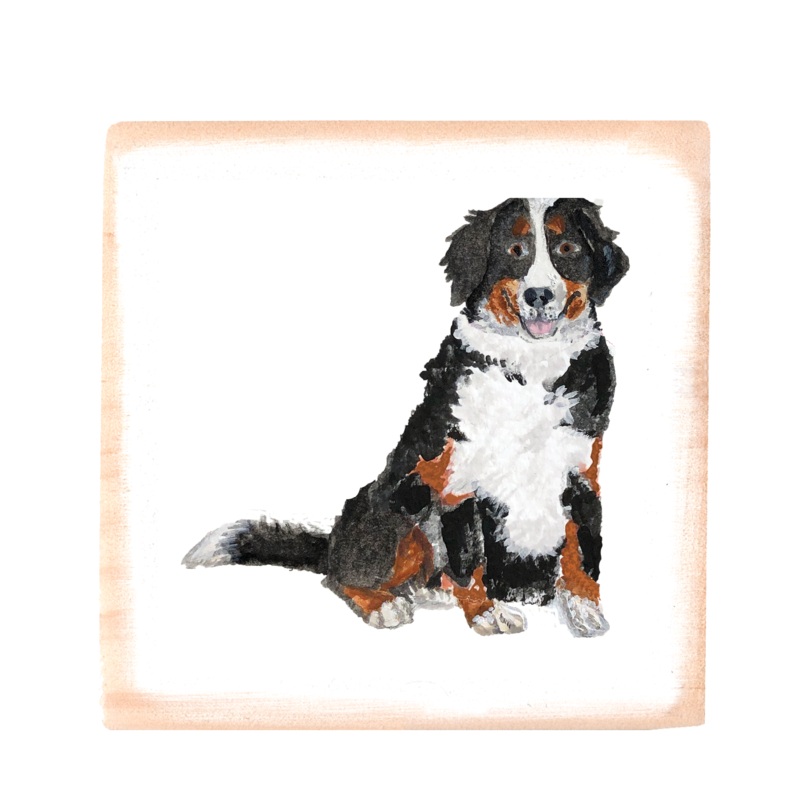 bernese mountain dog square wood block