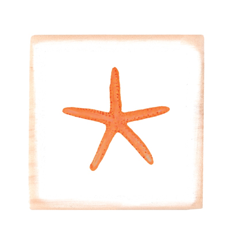 starfish orange square wood block