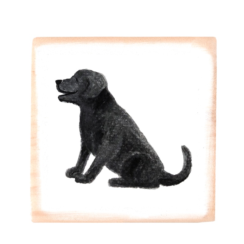 black dog sitting square wood block