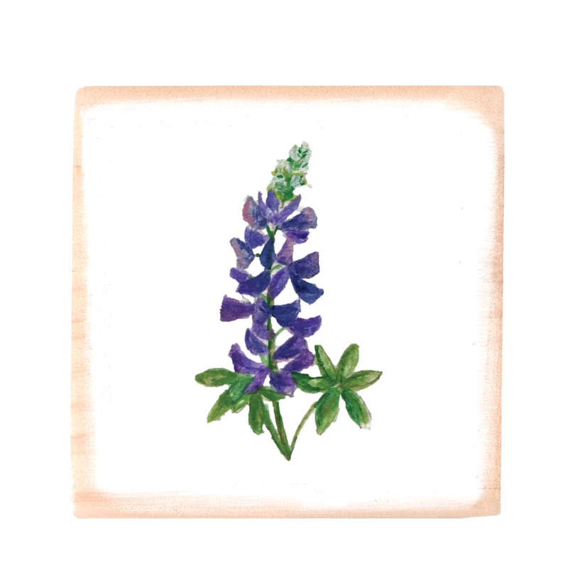 lupine square wood block