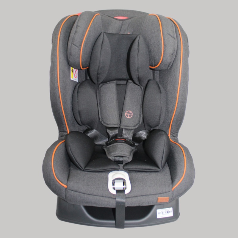 Windy Burbay Car Seat