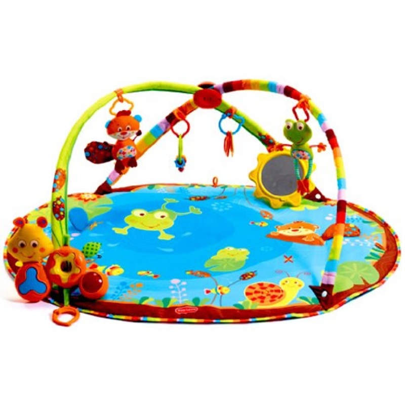 Tiny Love My Nature Pals Gymini