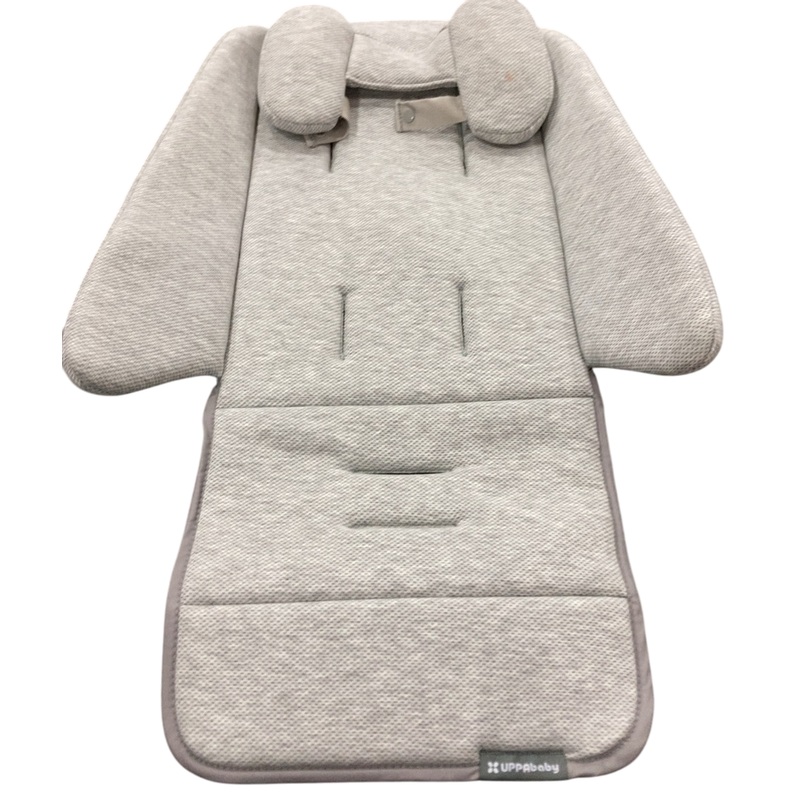 UPPAbaby Infant SnugSeat, Grey