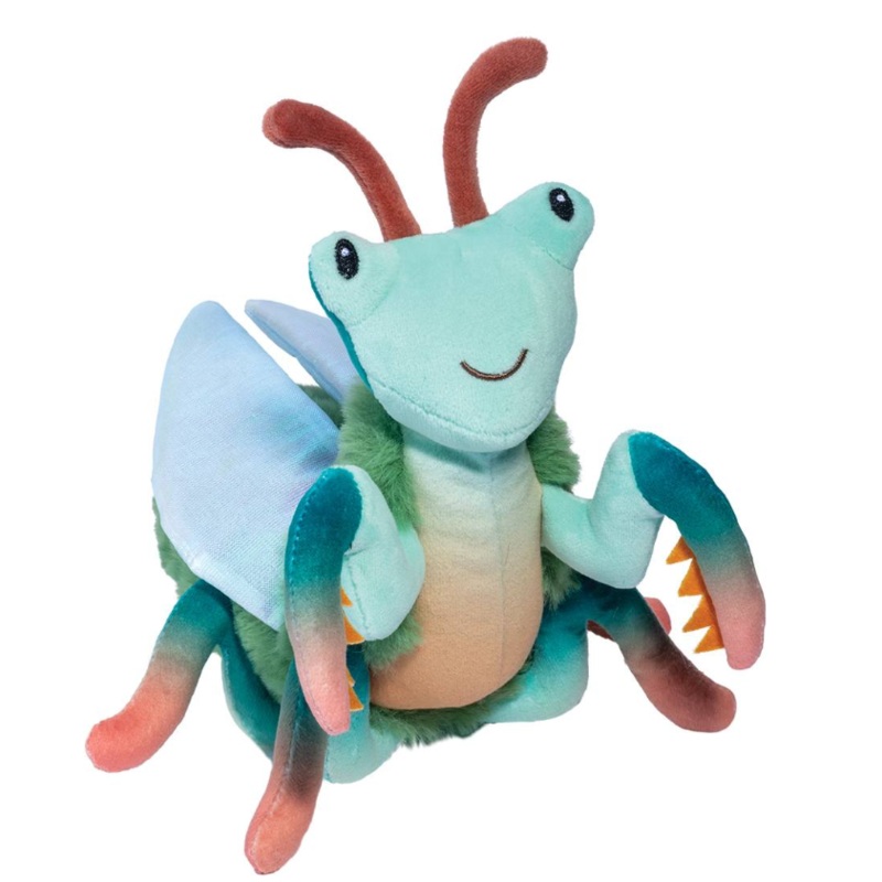 Micah Praying Mantis