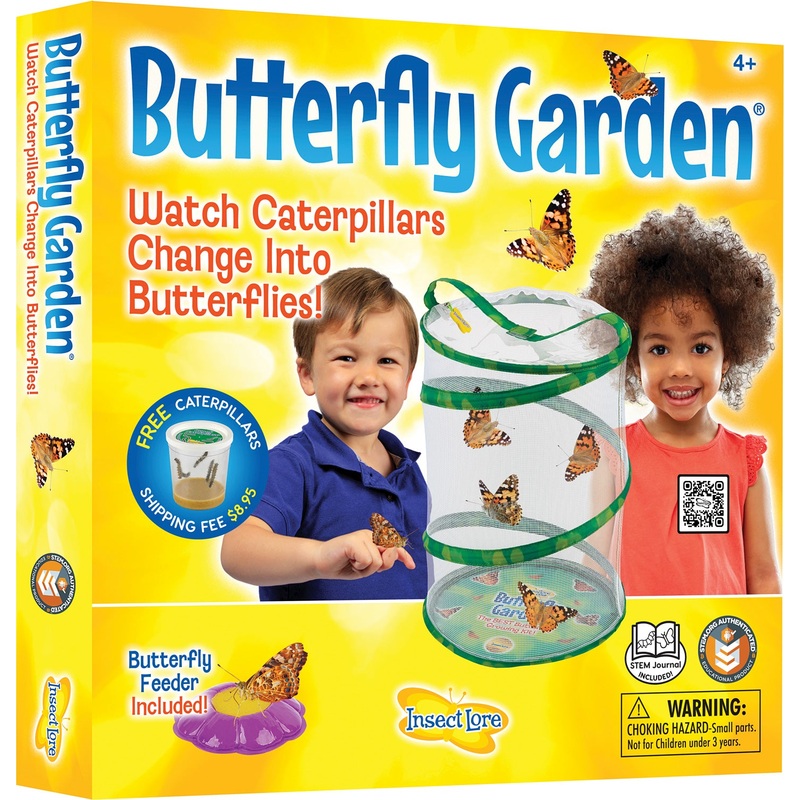 Butterfly Garden