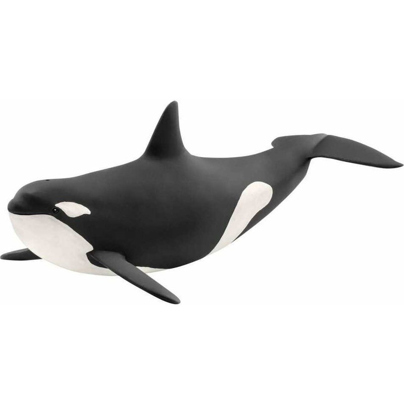 Killer Whale