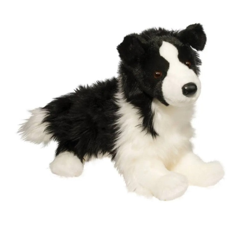 Chase Border Collie