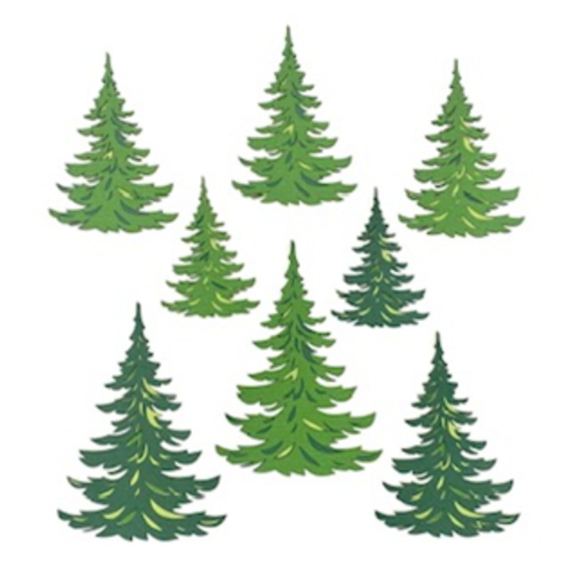 Pine Trees