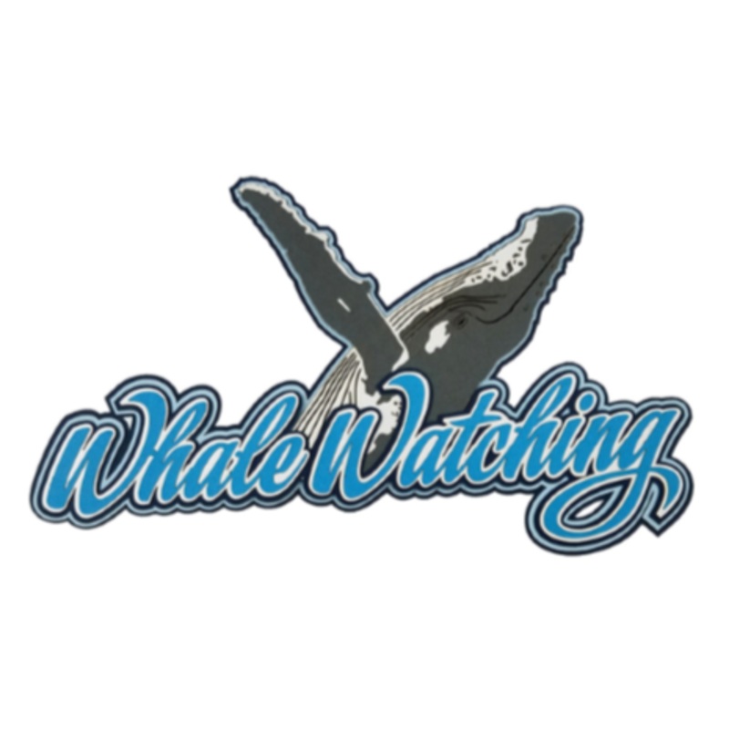 Whale Watching Title