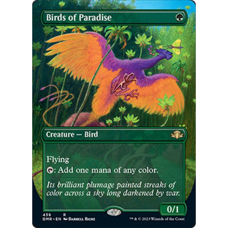 Birds of Paradise (Borderless)